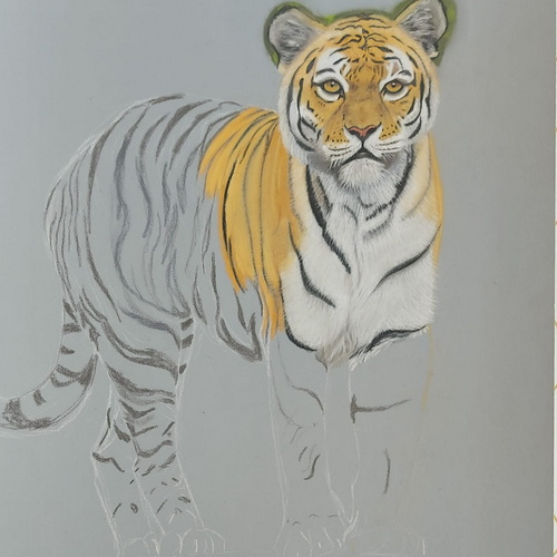 Gallery Item 1